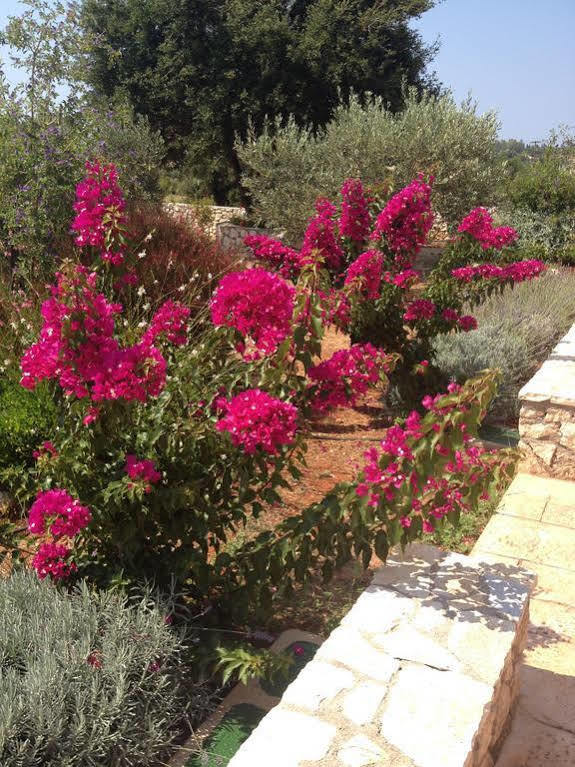 Korallis Villas Livathos  Extérieur photo