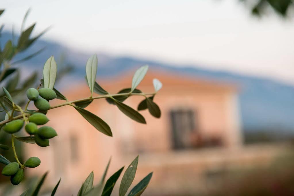 Korallis Villas Livathos  Extérieur photo